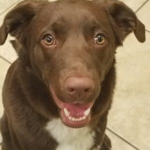 Meet your Posher, Julie